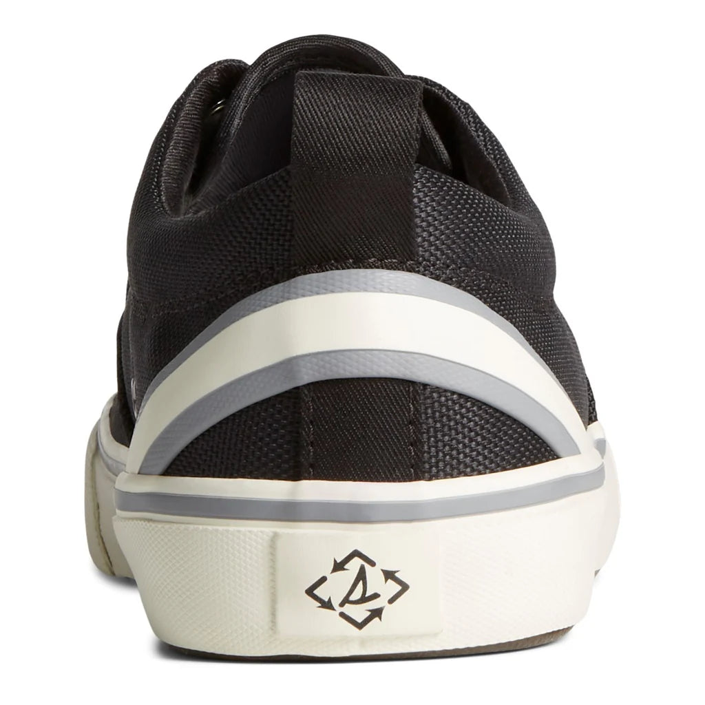 Sperry Striper Il Cvo Ralph Seacycled Polo Faxon Low Canvas Shoe