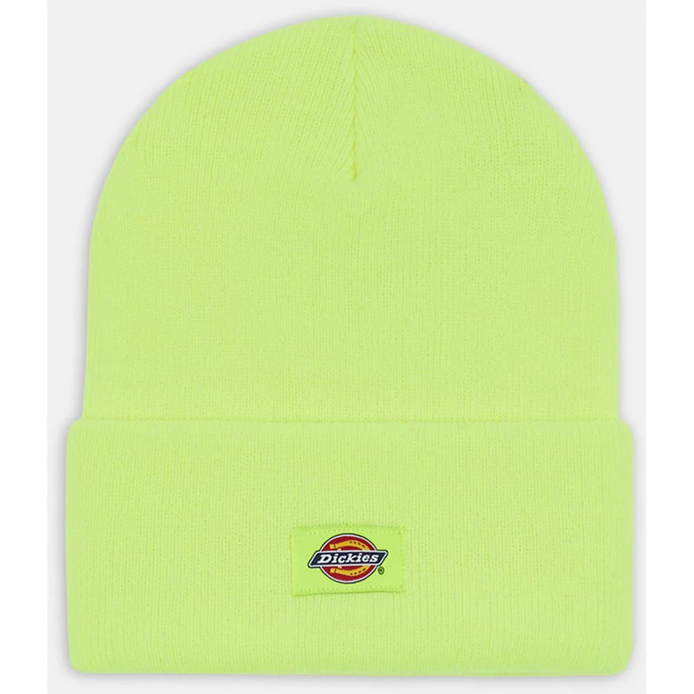 Dickies Acrylic Cuffed Everything Skull Cap Beanie