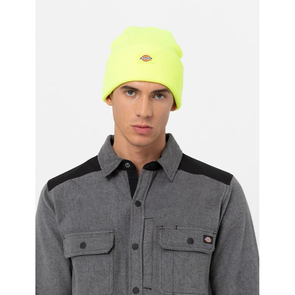 Dickies Acrylic Cuffed Everything Skull Cap Beanie